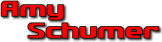   Amy Schumer - booking information  