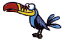   The Animal Band - booking information  