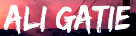   Ali Gatie - booking information  