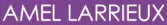   Amel Larrieux - booking information  
