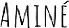   Hire Amine - booking Amine information  