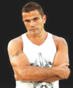   Amr Diab - booking information  