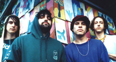  Hire Animal Collective - booking Animal Collective information. 