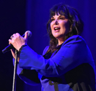 Hire Ann Wilson - booking Ann Wilson information.