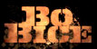   Bo Bice - booking information  