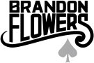   Brandon Flowers - booking information  