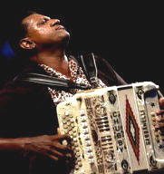   Chubby Carrier - booking information  