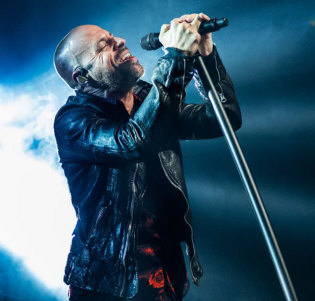 Hire DAUGHTRY - booking information