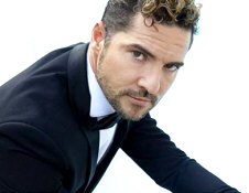   David Bisbal - booking information  
