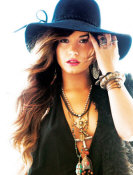  Demi Lovato - booking information  