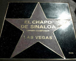   El Chapo de Sinaloa - booking information  