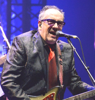 Hire Elvis Costello - book Elvis Costello for an event!