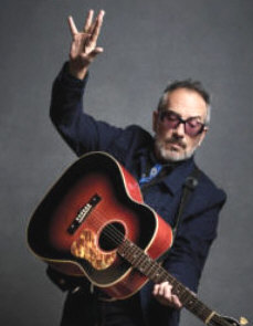  Hire Elvis Costello - book Elvis Costello for an event! 