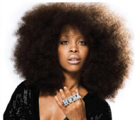  Hire Erykah Badu - book Erykah Badu for an event! 