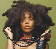  How to hire Erykah Badu - booking information 