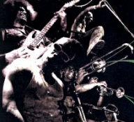   Fishbone - booking information  