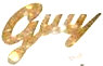   Guy - booking information  