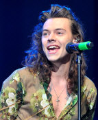 Hire Harry Styles - booking information