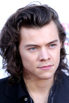   Harry Styles - booking information  