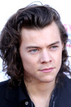Hire Harry Styles - booking information