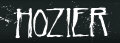 Hire Hozier - book Hozier for an event!