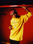 Hire Bow Wow - booking Bow Wow information.