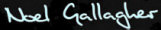   Noel Gallagher - booking information  