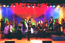 The Pink Flamingos - Show and Dance Group - booking information