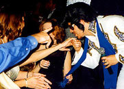 The Party Nation, party band - booking information