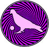   Hire Pigeons Playing Ping Pong - booking Pigeons Playing Ping Pong information.  