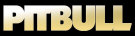 Hire Pitbull - book Pitbull for an event!