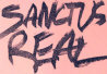   Sanctus Real - booking information  