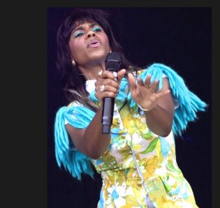 Hire Santigold - booking Santigold information