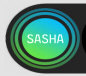  DJ Sasha - booking information  