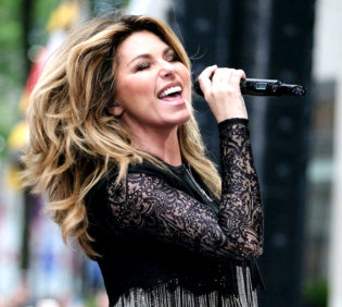   Shania Twain -- To view this artist's HOME page, click HERE! 