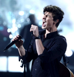 Hire Shawn Mendes - book Shawn Mendes for an event!