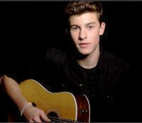   Shawn Mendes - booking information  