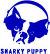   Snarky Puppy - booking information  