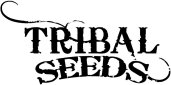   Tribal Seeds - booking information  