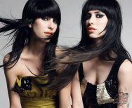   Hire The Veronicas - booking The Veronicas information.  