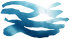   The Waterboys - booking information  