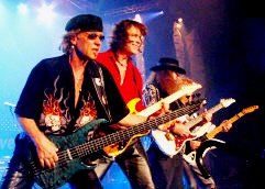   World Classic Rockers - booking information  