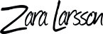   Zara Larsson - booking information  