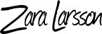 Zara Larsson - booking information