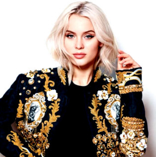   How to Hire Zara Larsson - booking information  